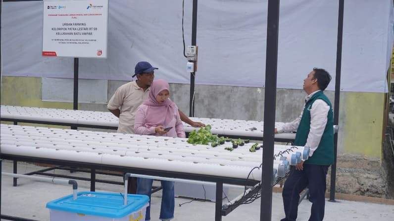Kebun Hidroponik yang dimanfaatkan warga di RT 59, Kelurahan Batu Ampar, Balikpapan. (Foto: PT Pertamina Patra Niaga Regional Kalimantan)