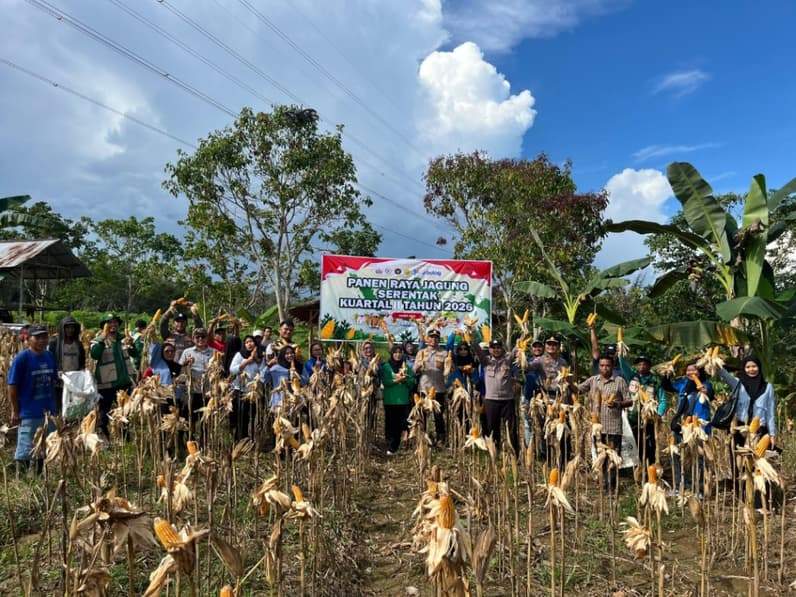 Polres Paser panen raya jagung kuartal kedua beberapa waktu lalu. (Foto: Luthfi/Pusaranmedia.com)