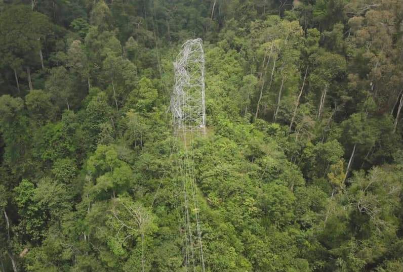 Kerusakan struktur tower pada jalur transmisi GI Maloy–GI Talisayan menyebabkan gangguan penyaluran listrik ke wilayah Kabupaten Berau. (Foto: PLN Berau)