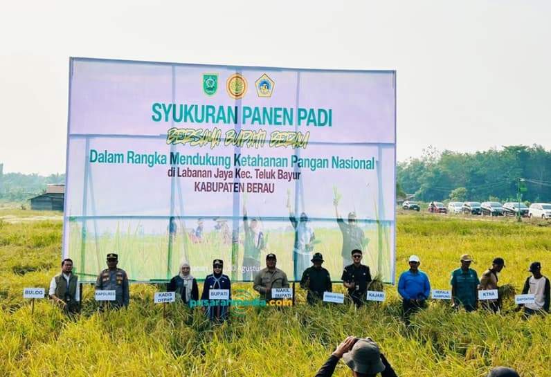 Syukuran panen padi di Labanan Jaya, Kecamatan Teluk Bayur. (Foto: Nur hidayah/Pusaranmedia.com)