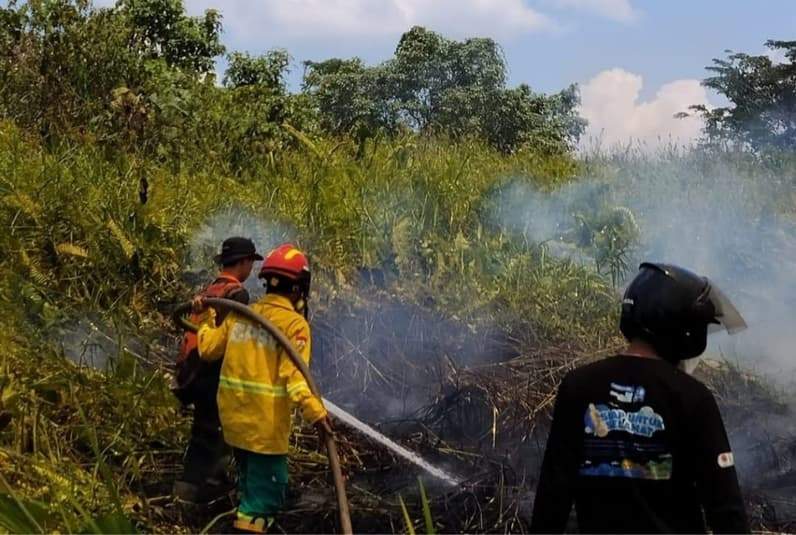 Proses pemadaman kebakaran lahan di kawasan Kelurahan Bukit Pinang, Kota Samarinda, Minggu (16/8/2026). (Foto: Dok.BPBD Samarinda)