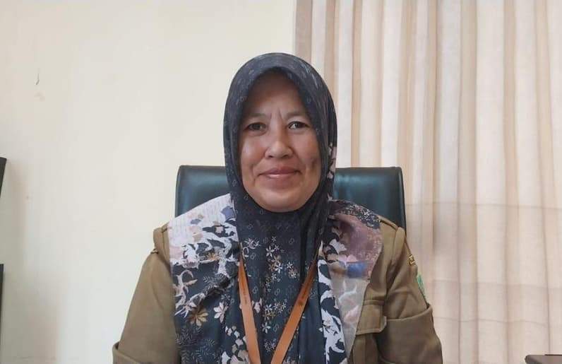 Kepala DPMPTSP PPU, Nurlaila. (Foto: Adi Kade/Pusaranmedia.com)