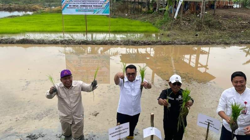 Bupati Kukar, bersama kelompok tani dan masyarakat melakukan penanaman padi organik secara serentak (Foto: Aswin/pusaranmedia.com)