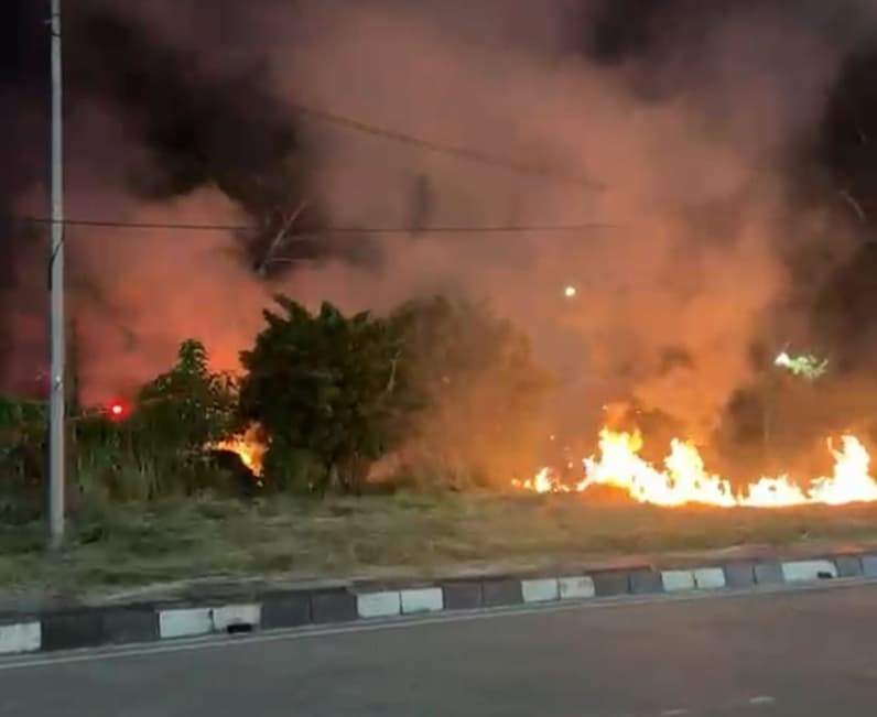 Kebakaran terjadi di wilayah taman kota raja (Foto: warga)