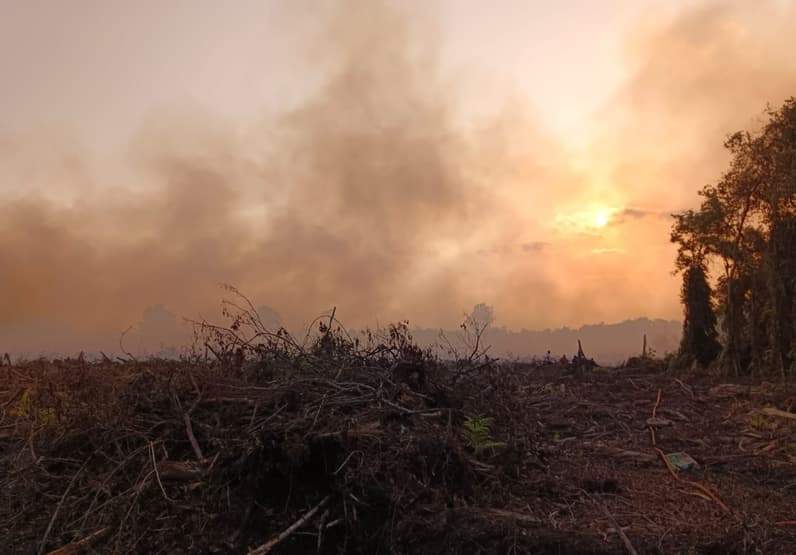 Kebakaran lahan kembali terjadi di Kabupaten Kutai Kartanegara (Kukar). Kali ini, sekitar 60 hektare lahan di wilayah Sambera, Desa Tanjung Limau, Kecamatan Muara Badak. (Foto: Damkar Kukar)