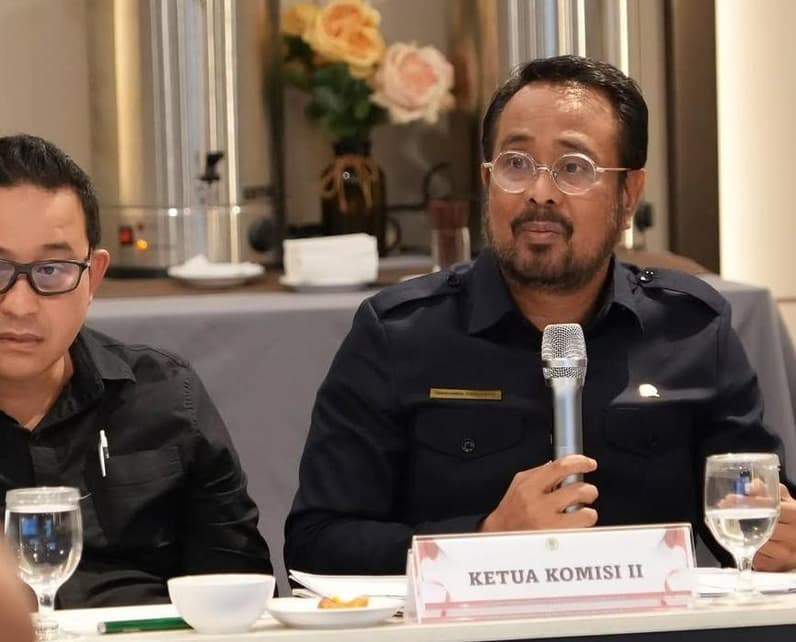 Ketua Komisi II DPRD Kaltim, Sabaruddin Panrecalle. (Foto: Humas DPRD Kaltim Satya)