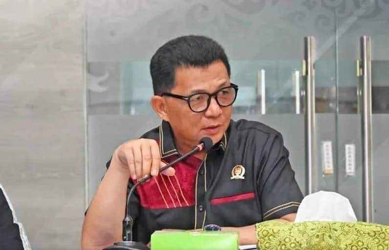 Wakil Ketua I DPRD Kaltara, Muhammad Nasir. (Foto: Istimewa)