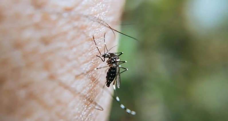 Kini Sangatta Selatan Kabupaten Kutai Timur mulai memasuki wilayah tinggi kasus malaria. (Foto: Dok. kementerian Kesehatan Republik Indonesia)