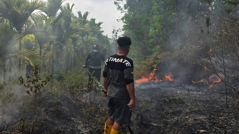 TNI memadamkan api di delineasi IKN, Sabtu (5/9/2026). (Foto: Pendam VI/Mulawarman)
