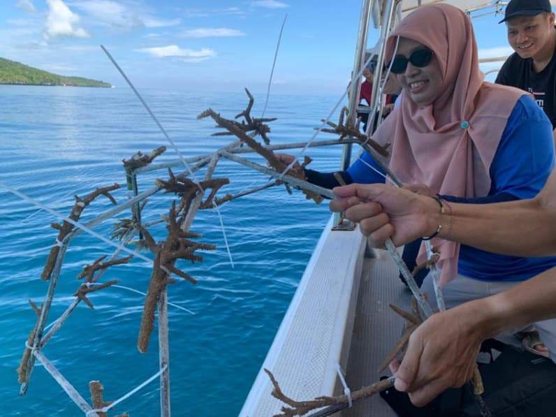 Jurnalis menurunkan terumbu karang yang akan ditanam oleh penyelam di laut Maratua, Kamis (12/6/2026). (Foto: Jurnalis Balikpapan)