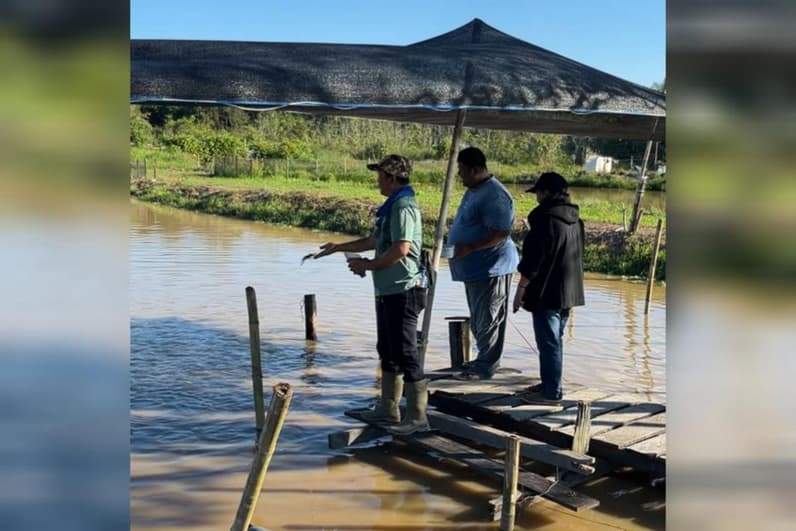 Terlihat Kelompok Perikanan Lembah Bumi Makmur saat memberikan pakan ikan di kolamnya. (Foto: Siswandi/Pusaranmedia.com)
