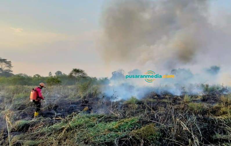 Kebakaran lahan di kawasan Lempake, Samarinda Utara, Selasa (24/8/2026). (Foto: Tri/Pusaranmedia.com)