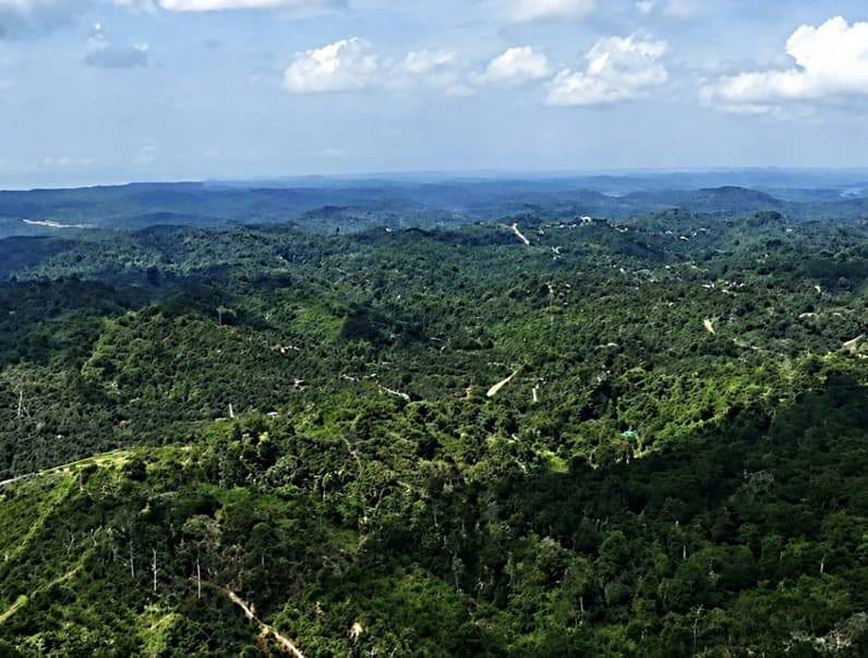 Hamparan kebun sawit yang masuk ke wilayah Indonesia dan Malaysia di Pulau Sebatik. (Foto: BPPD Nunukan)