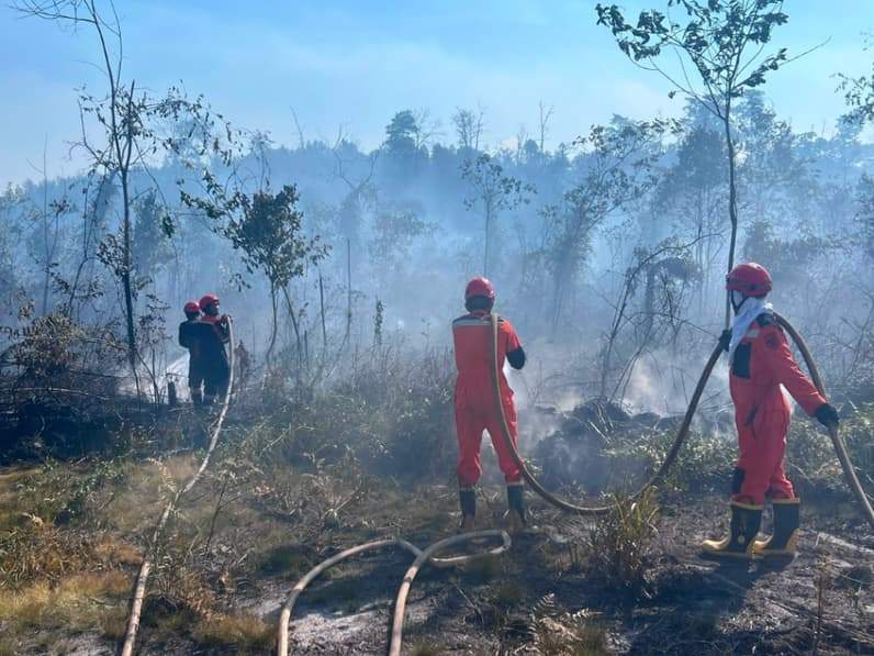 Proses pemadaman kebakaran hutan dan lahan (karhutla) di wilayah Kabupaten Berau. (Foto: BPBD Berau)