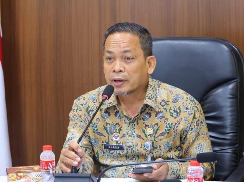 Deputi Bidang Pengelolaan Batas Wilayah Negara, Nurdin (Foto: BNPP RI)