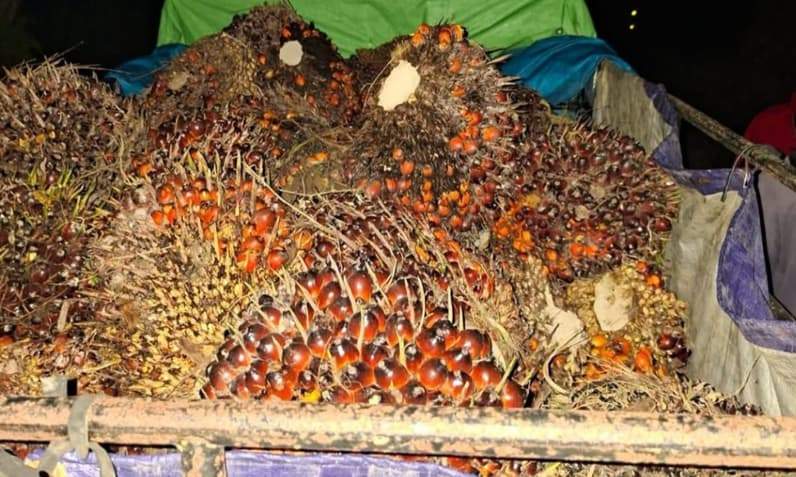Barang bukti yang disita oleh pihak polsek muara kaman. (Foto: Polsek Muara kaman)