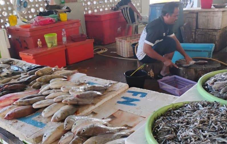 Pasar Ikan Murah Tanjung Batu. (Foto: Nur Hidayah/Pusaranmedia.com)