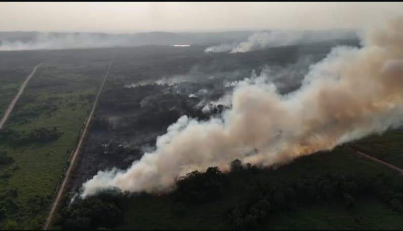 Kondisi kebakaran lahan diwilayah pendingin sangsanga. (Foto: Damkar Kukar)