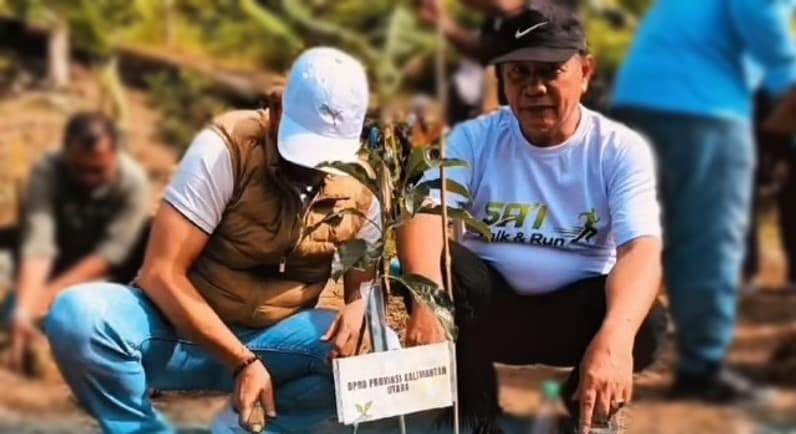 Kolase kegiatan tanam pohon bersama yang dihadiri Anggota DPRD Kaltara, Supa'ad Hadianto. (Foto: Istimewa)