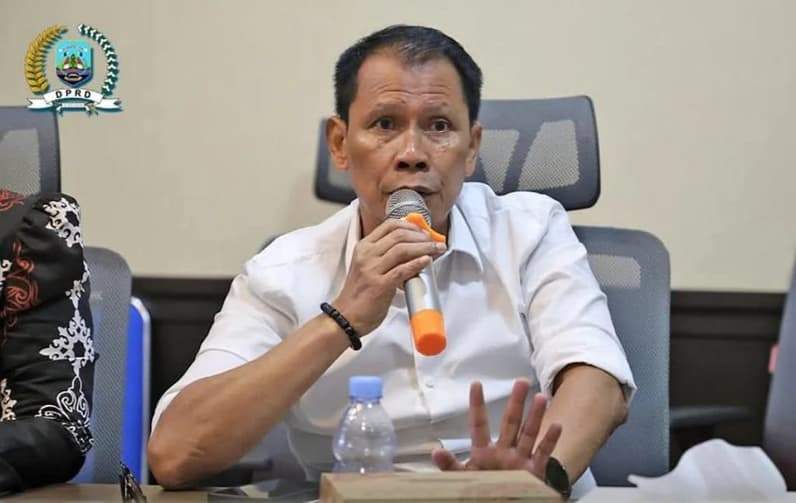 Ketua Bapemperda DPRD Kalimantan Utara, Supa'ad Hadianto. (Foto: Istimewa)