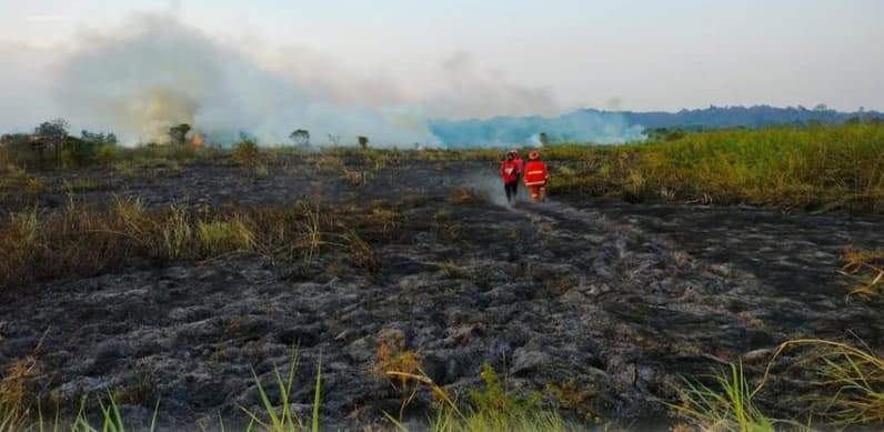 Kebakaran lahan di kawasan Lempake, Samarinda Utara, Selasa (24/8/2026). (Foto: Tri/Pusaranmedia.com)
