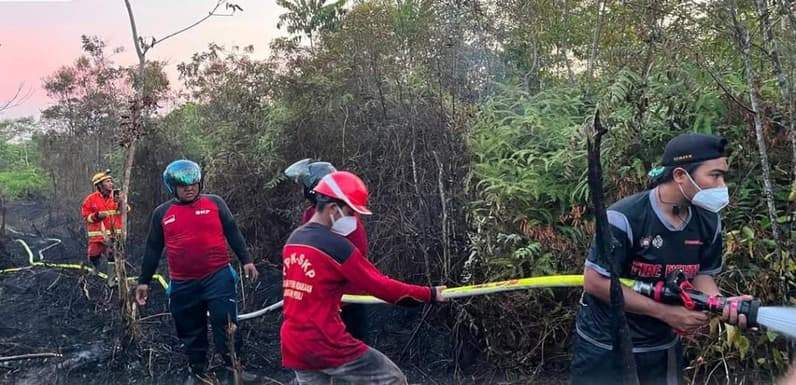 Upaya pemadaman karhutla di Kota Samarinda. (Foto: Dok. BPBD Kota Samarinda)