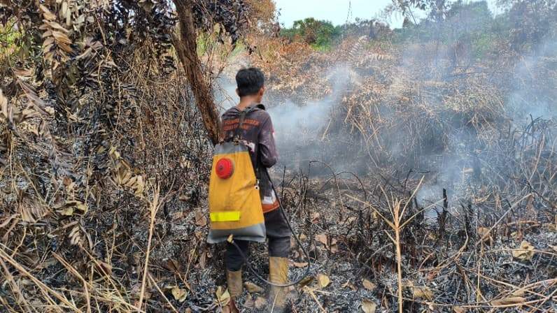 Penanganan kebakaran hutan dan lahan di Kelurahan Nenang, Kecamatan Penajam, PPU. (Foto: Pusdalops BPBD PPU).