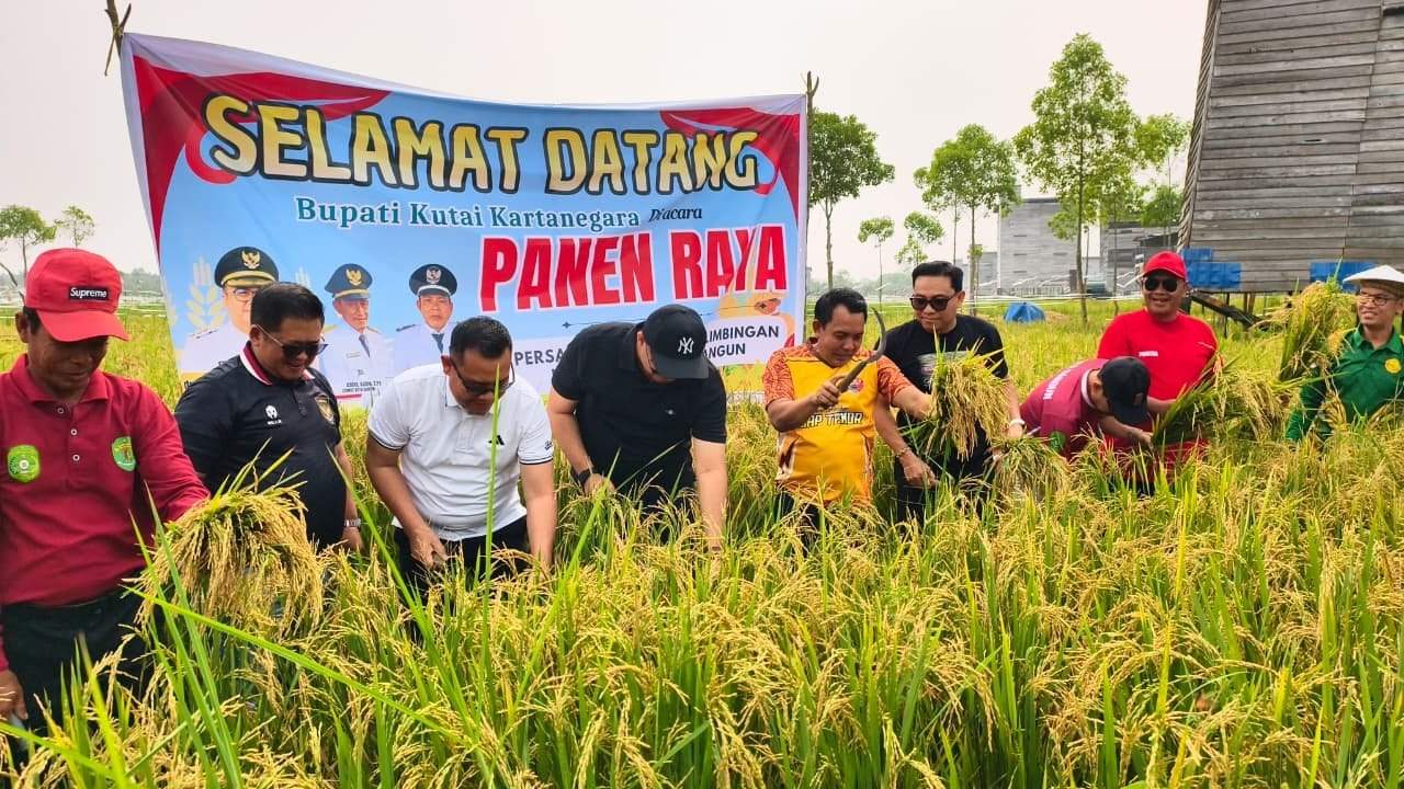 Momen Taufik bersama pihak terkait melakukan panen raya di desa sebelimbingan. (Foto: Taufik)