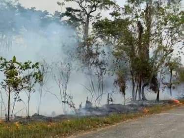Lagi, Kebakaran Lahan Terjadi di Jalan Soekarno Hatta Bontang
