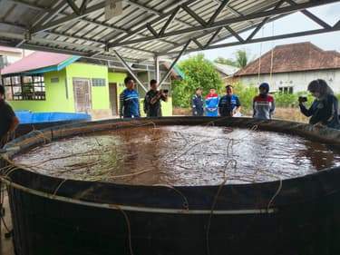 Pokdakan Desa Sebakung Jaya Kembangkan Budidaya Ikan Air Tawar dengan Media Kolam Bioflok